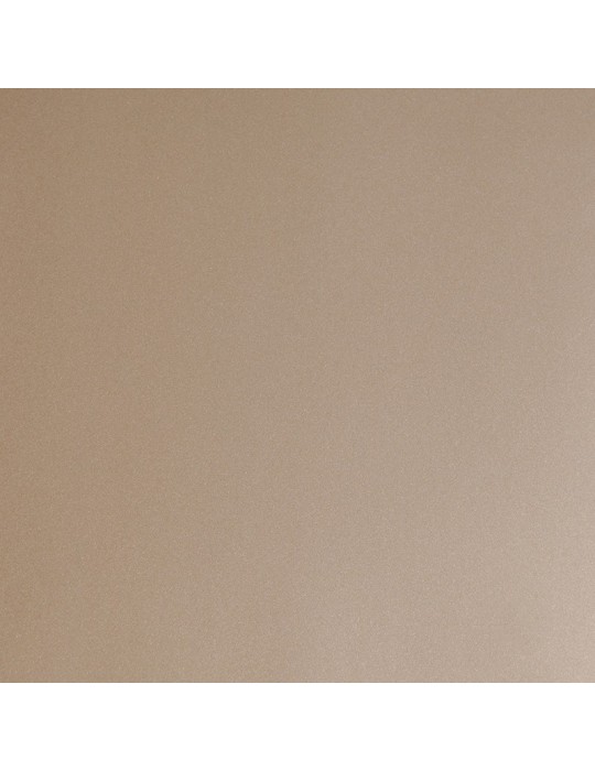 HX20BCMB - Beige Cendré Métal Brillant